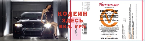 крисы Абаза