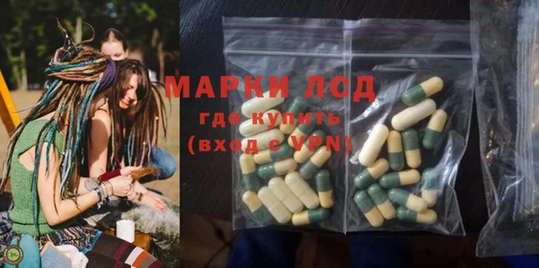 крисы Абаза