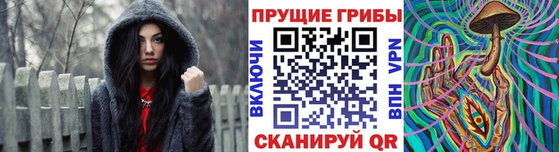 Псилоцибиновые грибы Psilocybine cubensis  ОМГ ОМГ маркетплейс  Анапа 