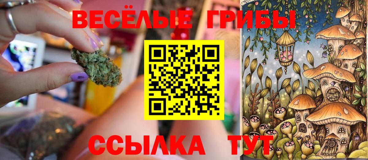 наркотики  Вход с VPN  Анапа  Псилоцибиновые грибы прущие грибы 